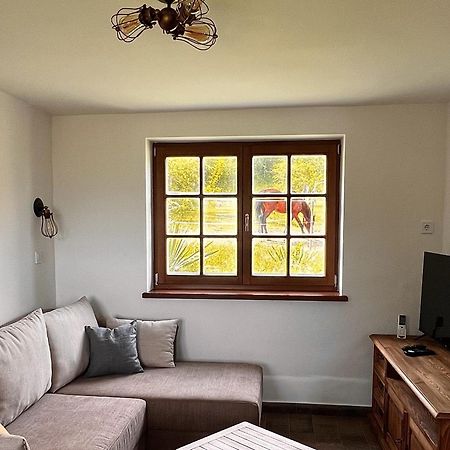 Pilisi Lovas Major, Dorog B&B 외부 사진