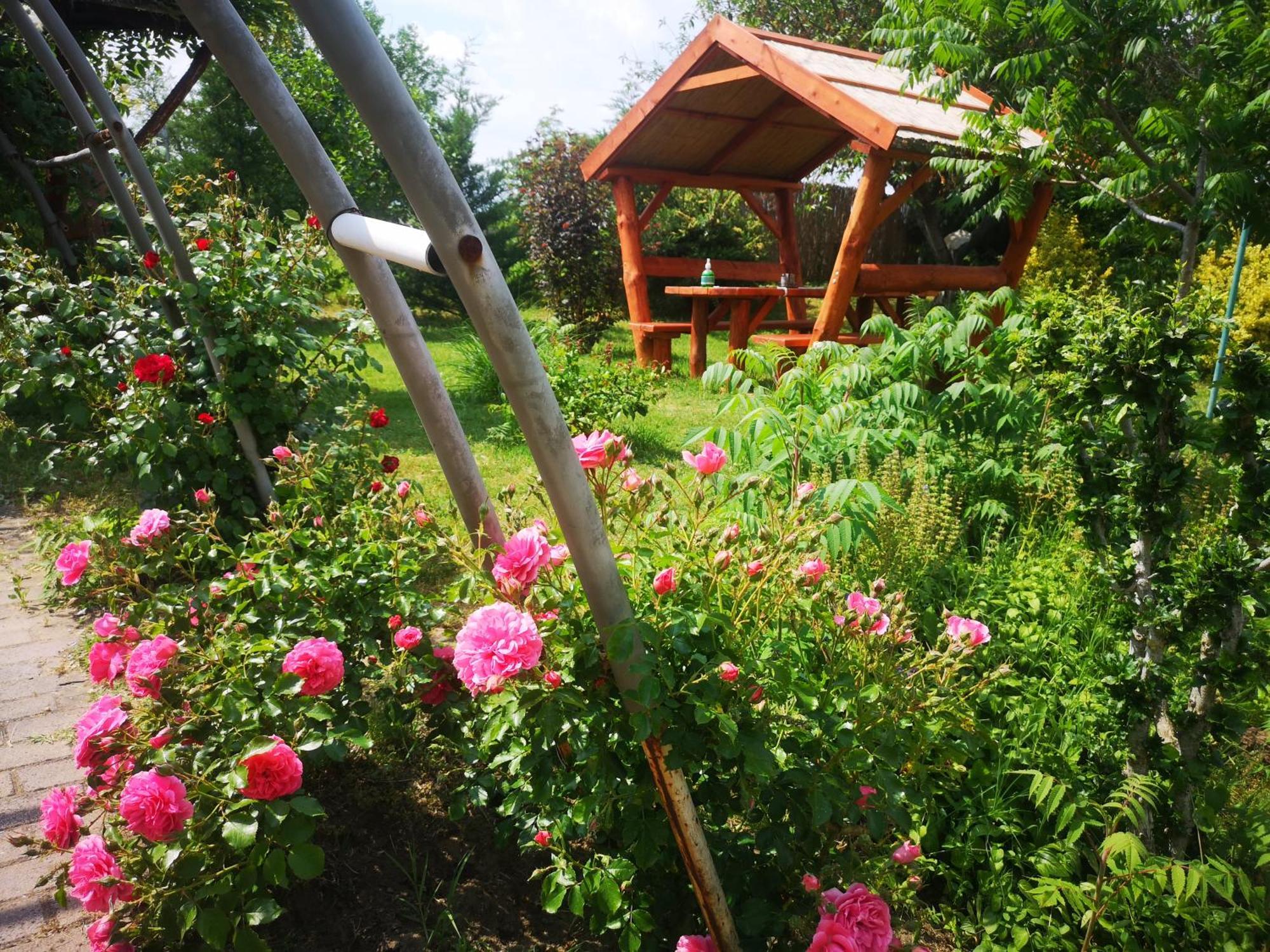 Pilisi Lovas Major, Dorog B&B 외부 사진